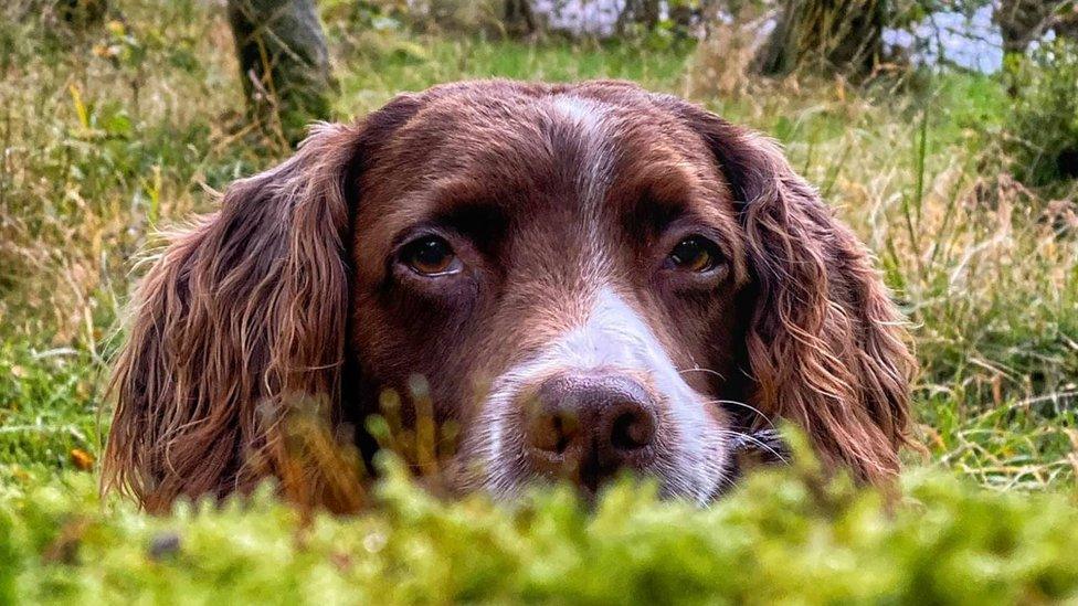 Max lying down