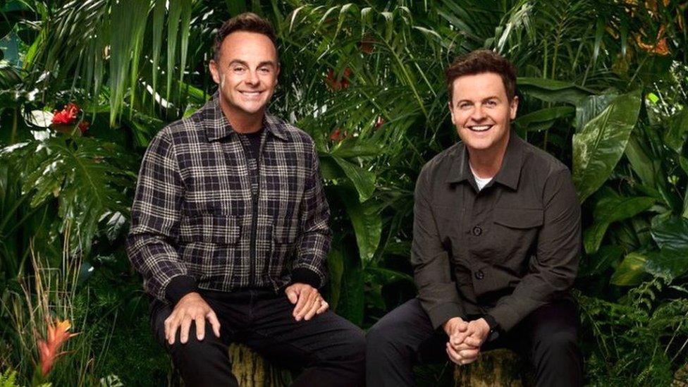 Ant and Dec in the TV jungle