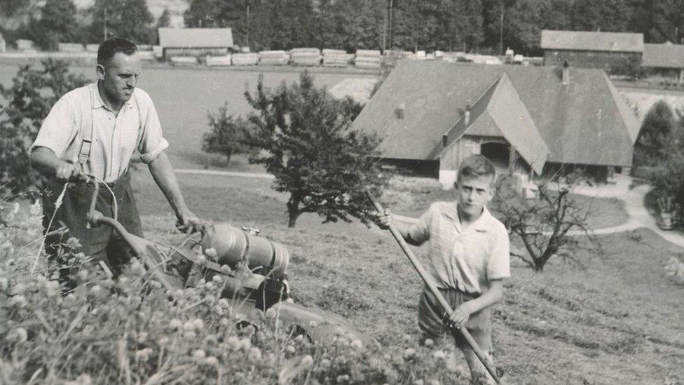 Archive photo Swiss arable farming