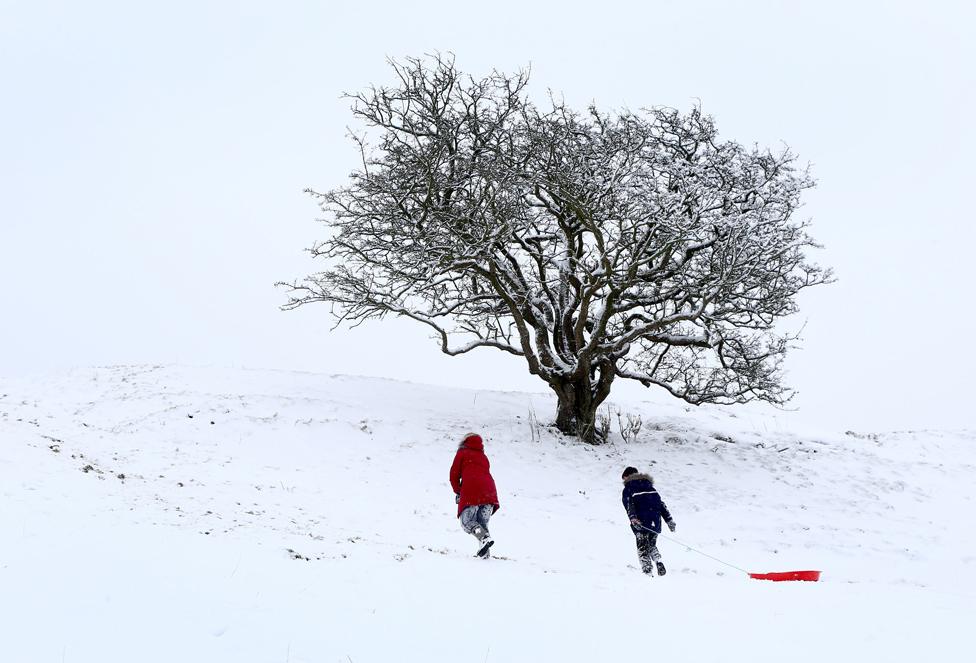 People go sledging on Farthing Common in Kent, on 8 February