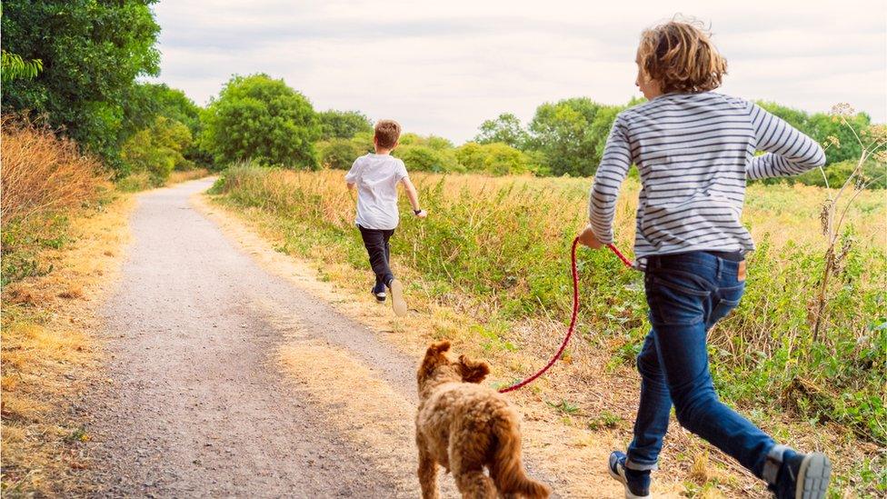 boys-running-with-dog.