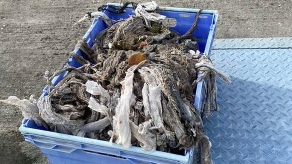 Materials removed from a sewer in Port Erin