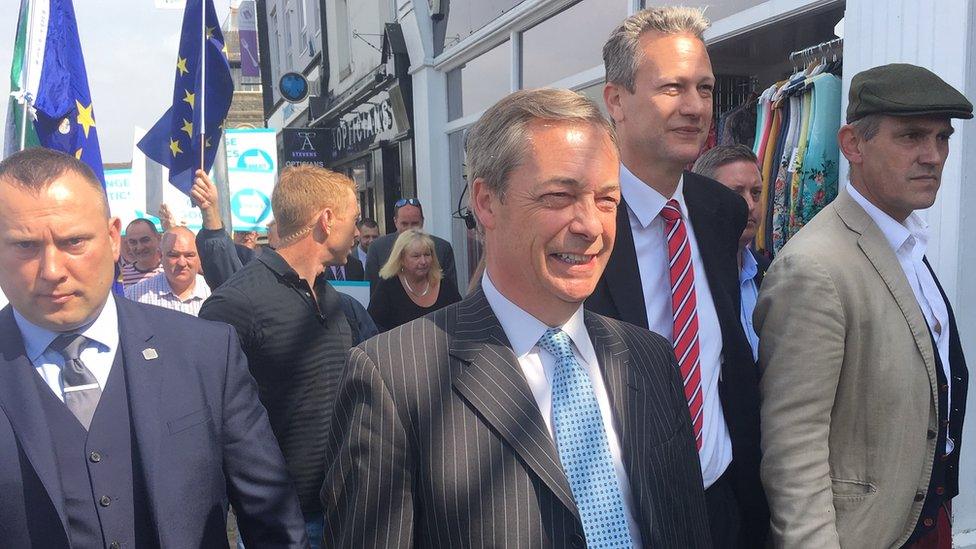 Nigel Farage and Nathan Gill