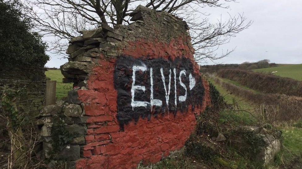 Elvis on the Cofiwch Dryweryn wall