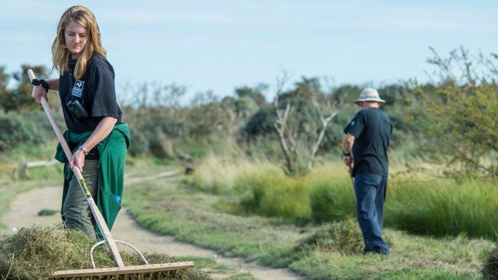 Volunteers helping the trust