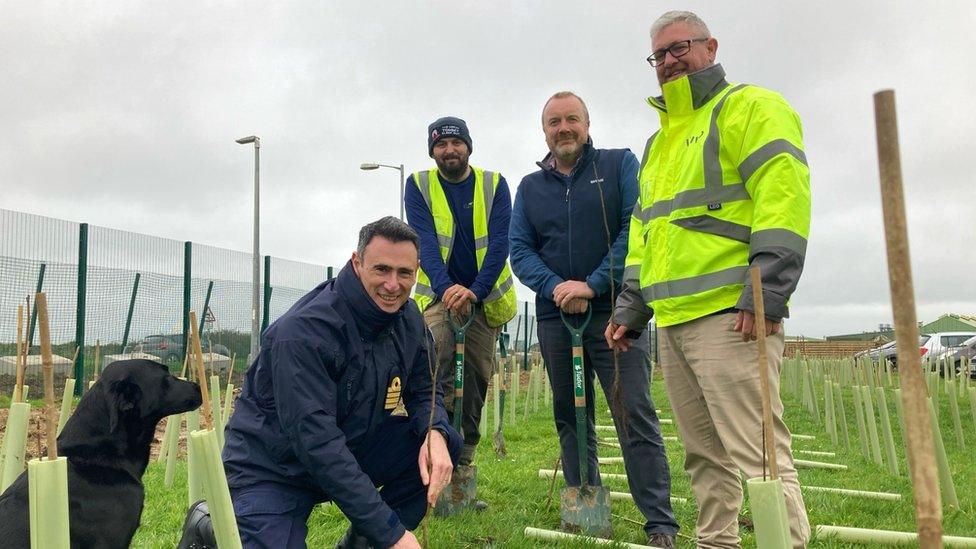 Team planting trees