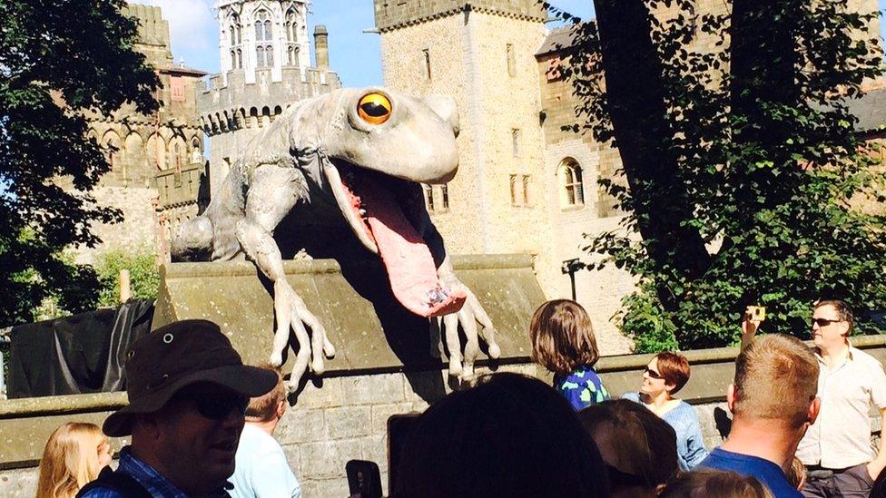 A frog on Cardiff Castle's walls