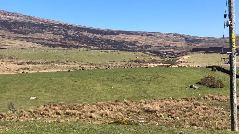 Scorched earth on Mynydd Graig Goch