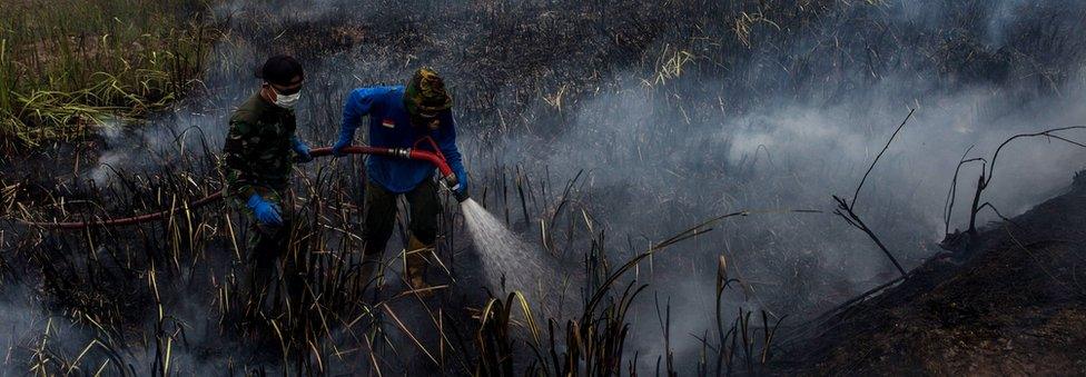 Indonesian soldiers extinguish the fire on burned peatland and fields at Sungai Rambutan village, Ogan Ilir district on 2 October 2015 in Palembang, South Sumatra, Indonesia