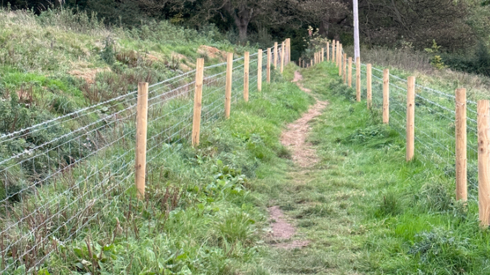 A path on Verney Fields with a small copse in the background