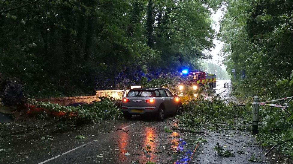 A tree on the car in Thurnby