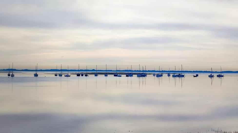 TUESDAY - Langstone harbour