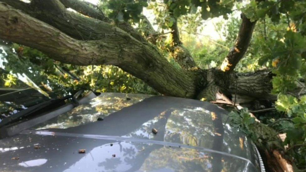 Tree on car in Trowell