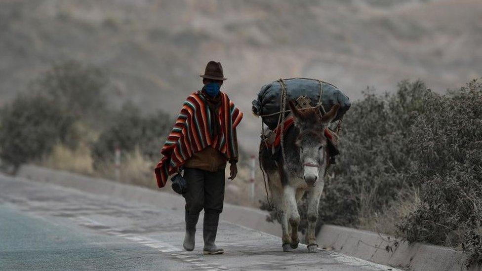 A farmer and his donkey walk on a road covered by the ash expelled by the Sangay volcano, in Alausi, in the province of Chimborazo, Ecuador, 20 September 2020