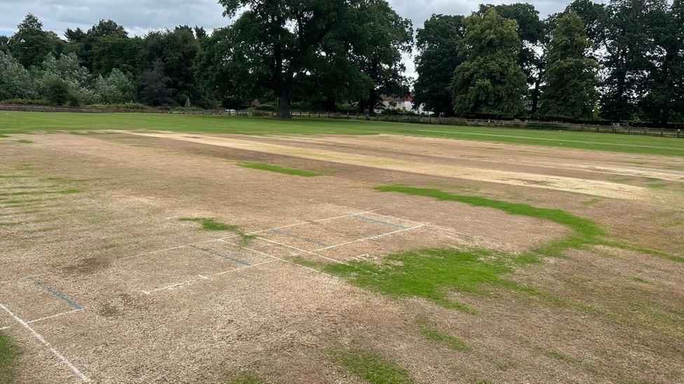 Section of grass destroyed with weed killer