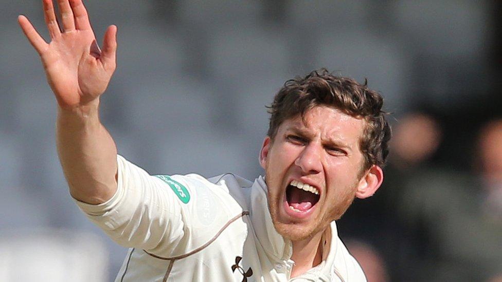 Zafar Ansari