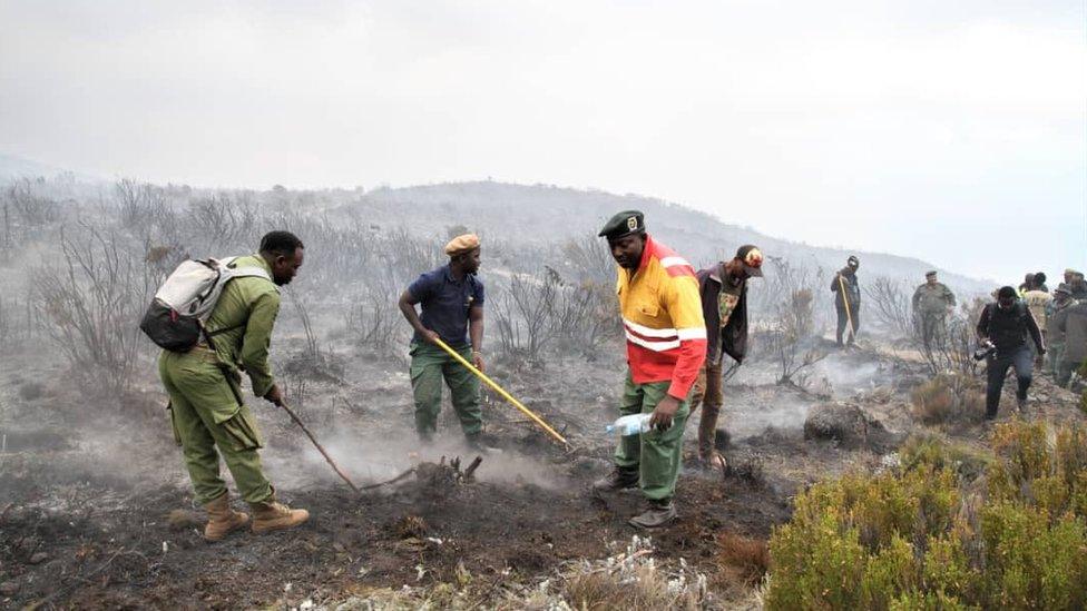 Workers on Kilimanjaro