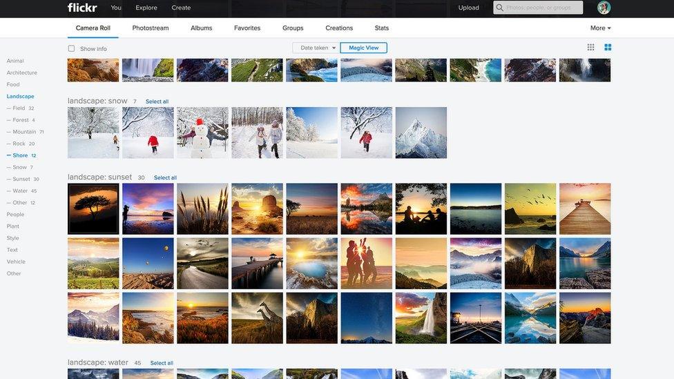 Flickr website