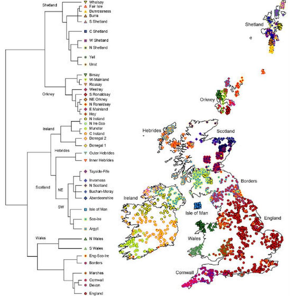 Genetic map