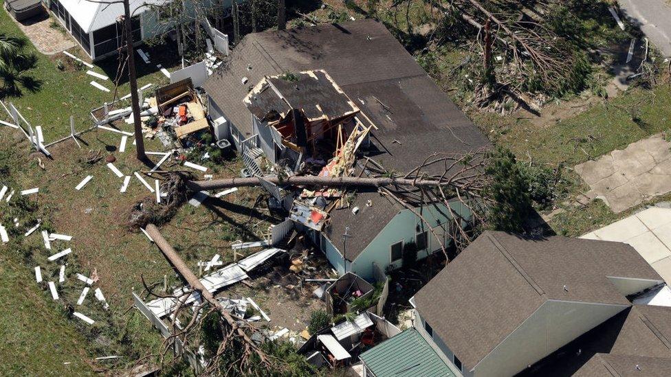 A tree on a home in Mexico Beach, Florida