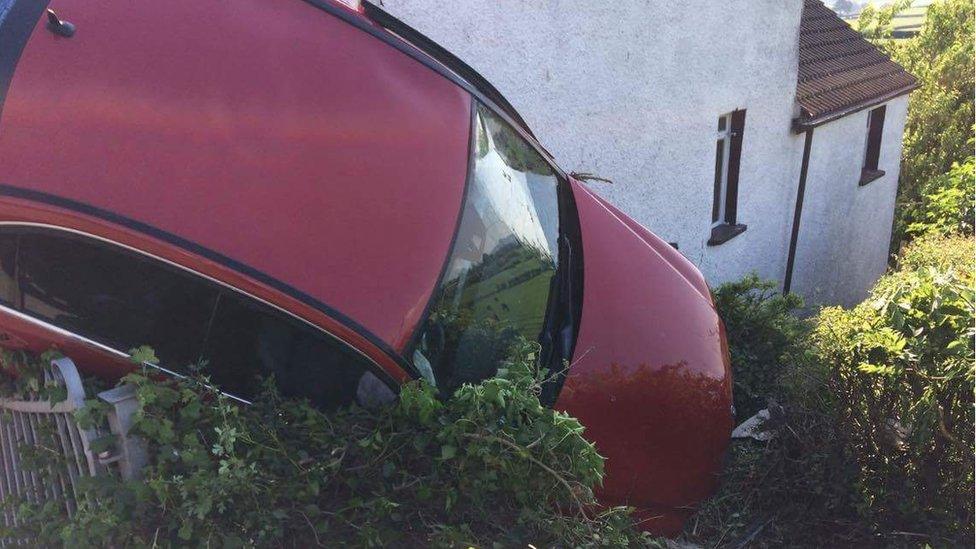 CAR IN HEDGE