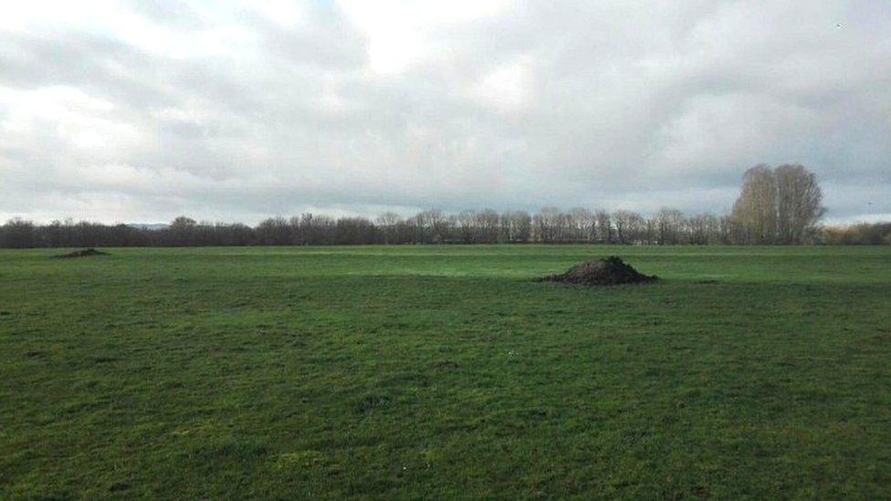 Site of the proposed solar farm near Bridgwater