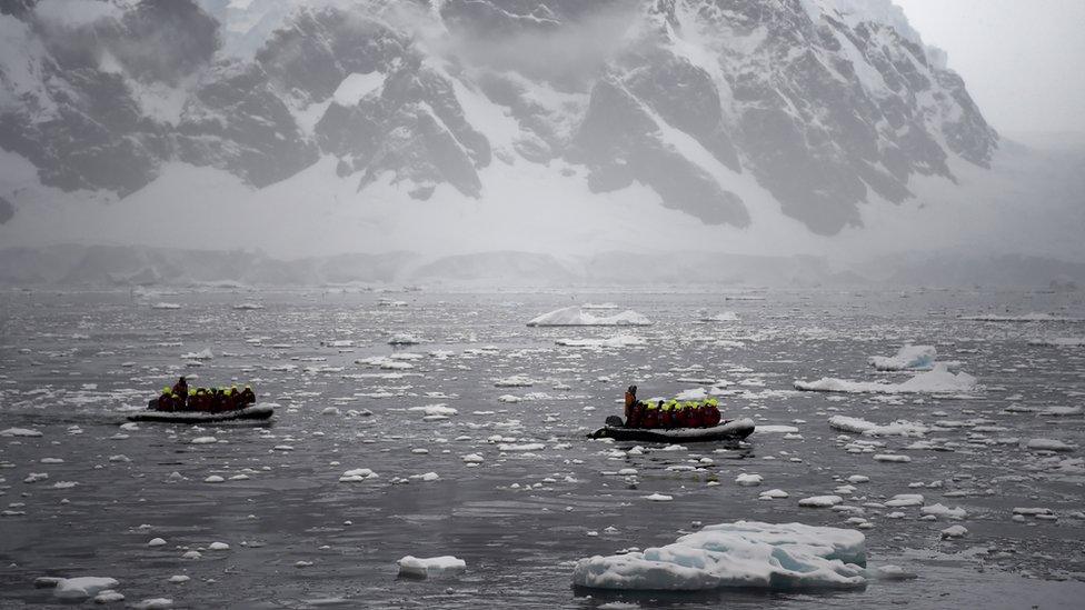 Tourists in Antarctica