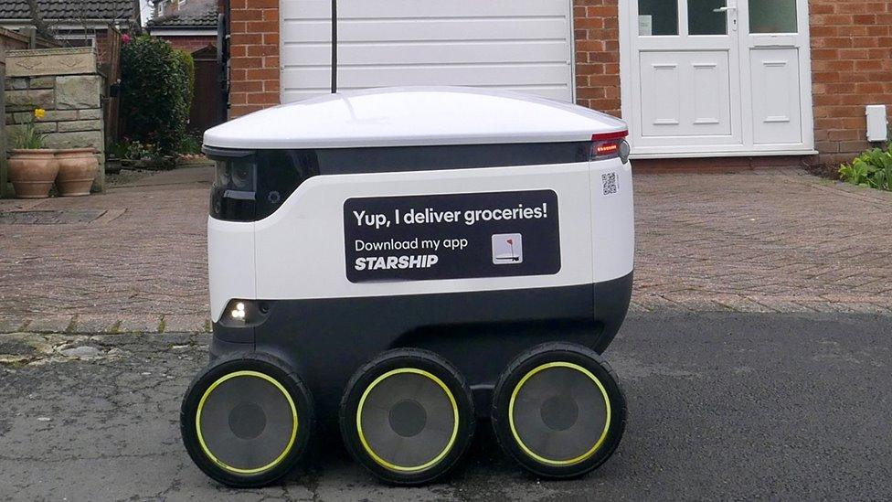 Robot delivery bot