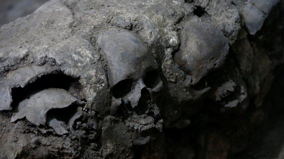 Skulls encased in lime piled neatly together