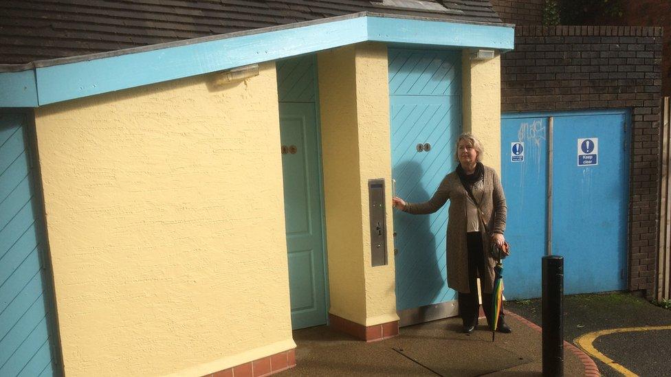 Shan Williams said the community took over this public loo to keep people shopping on Cardigan high street