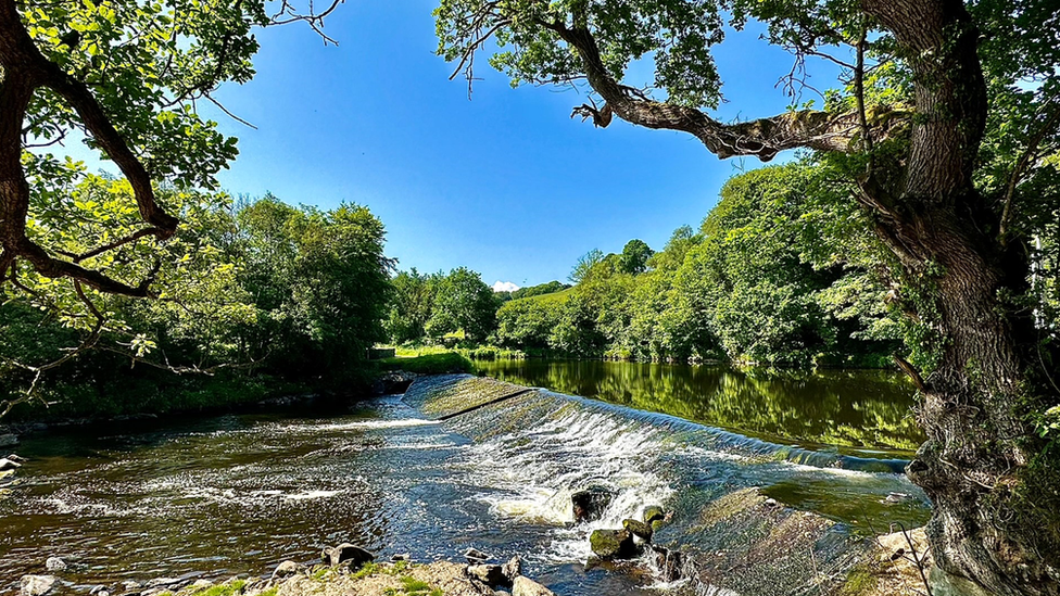 Limavady sunshine