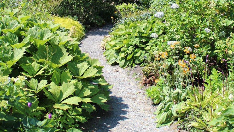 Bodnant Garden