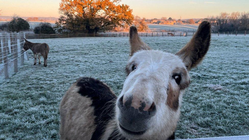 A frosty sunrise in Barnham, West Sussex.