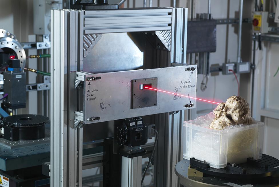 Skull in the beamline