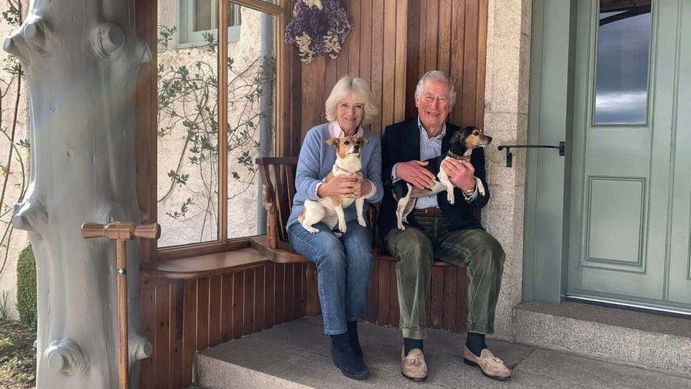 Camila and Prince Charles holding their dogs