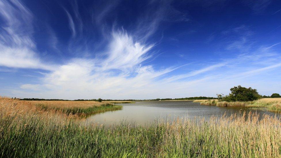 Hickling Broad