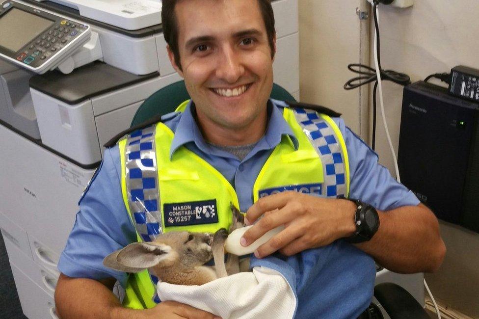 Scott Mason feeds Cuejo the joey