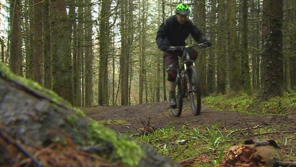 Dr Bale cycling through Lodge Wood