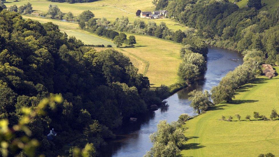 Symonds Yat