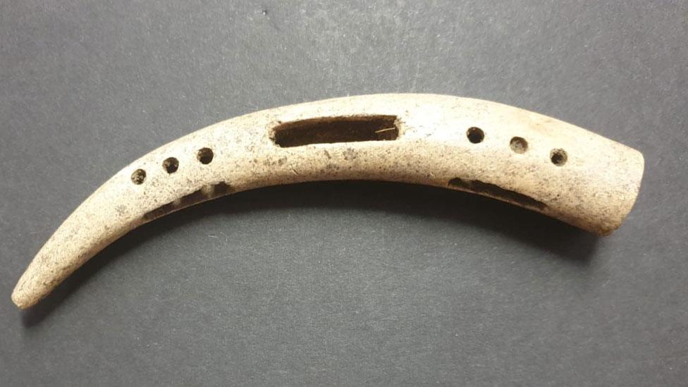 Late Bronze Age horse harness cheek piece