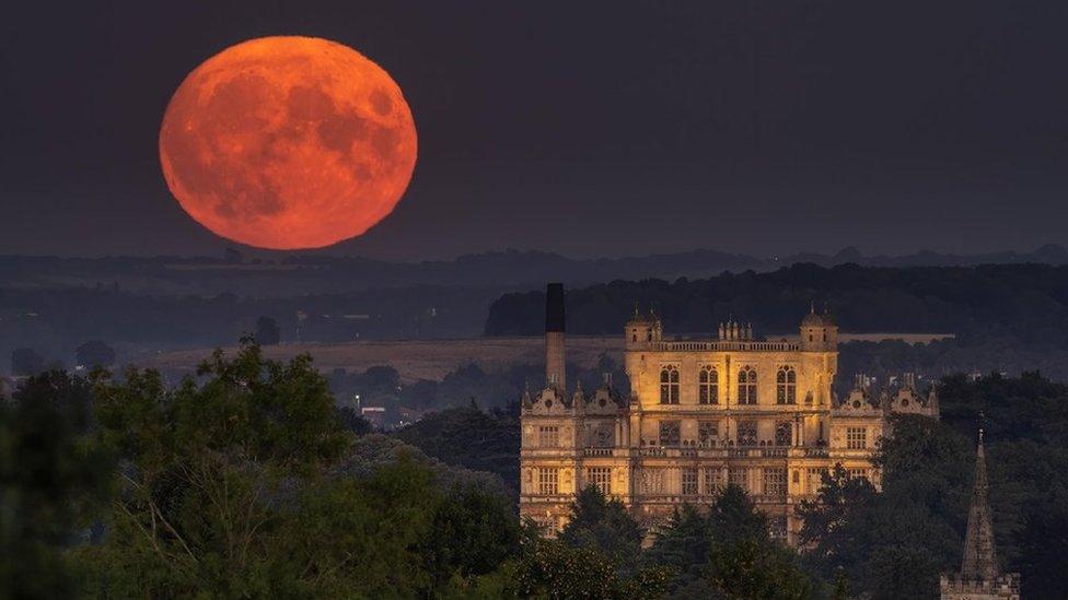 Sturgeon Moon Wollaton, Nottingham