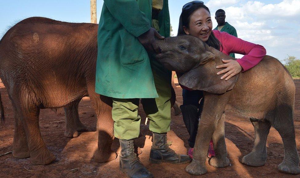 Hong Kong lawmaker Elizabeth Quat (R) poses with a juvenile elephant as she visits the David Sheldricks orphan elephant foundation in the Kenyan capital, Nairobi, on September 13, 2014.