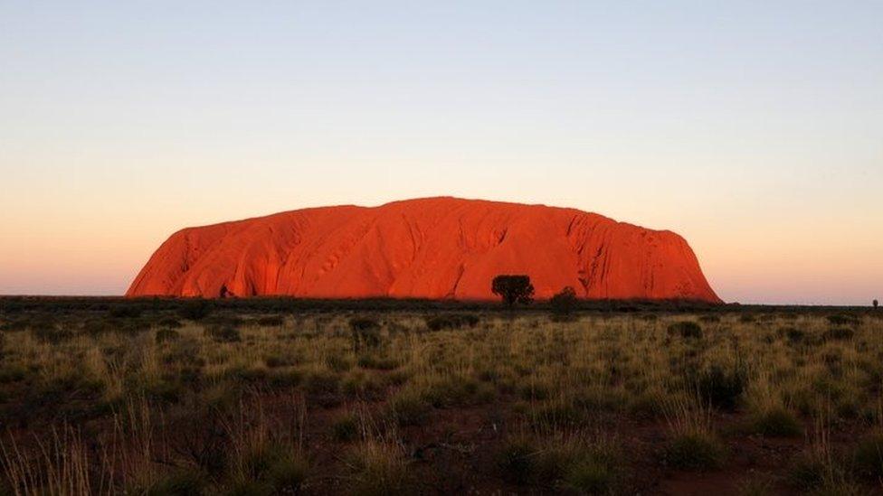 Giant monolith Uluru, with bushland in the foreground