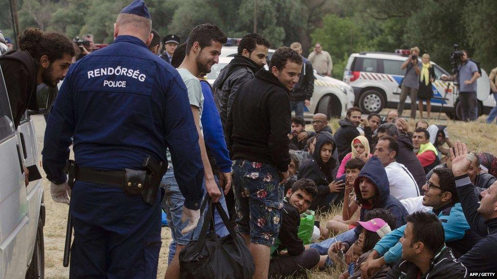 Police collects migrants at the Hungarian-Serbian border on 24 June 2015 during their patrol.