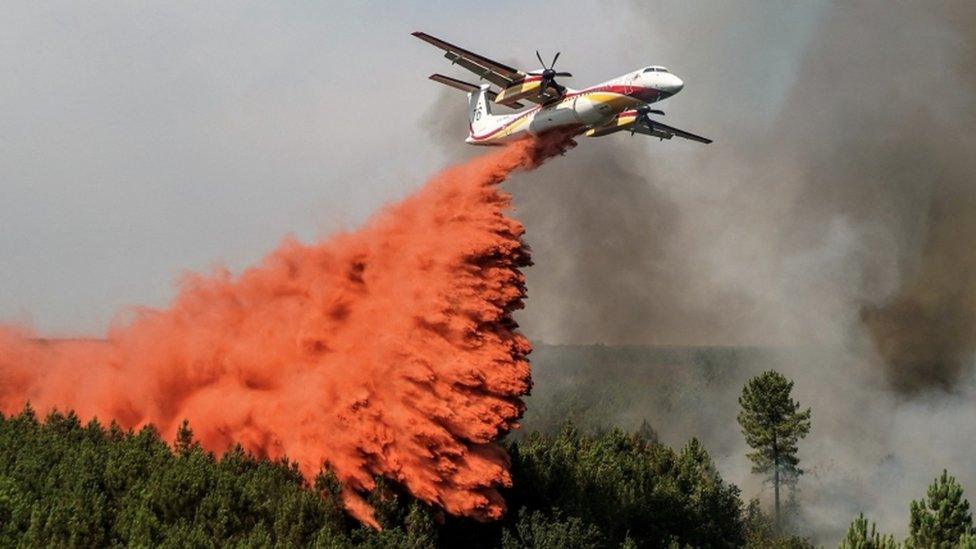 Water-bombing-aircraft.