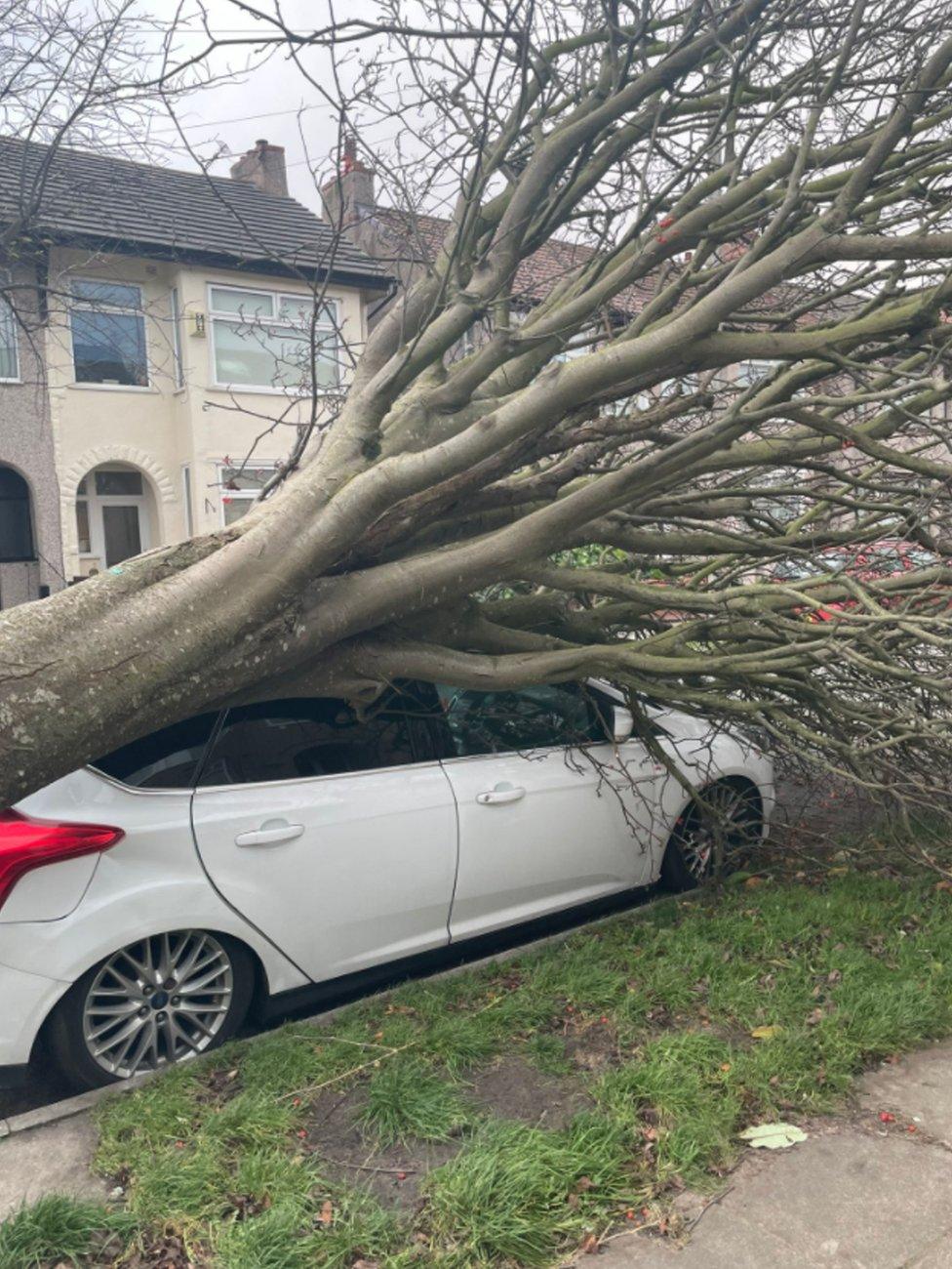 A fallen tree on car in Wallasey Village, Wirral, in the aftermath of Storm Arwen