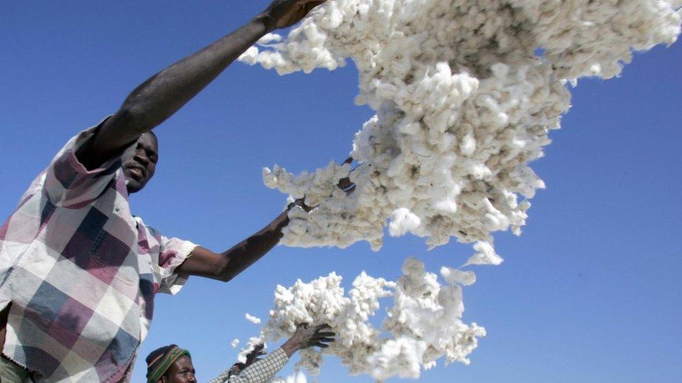 man throws cotton in the air