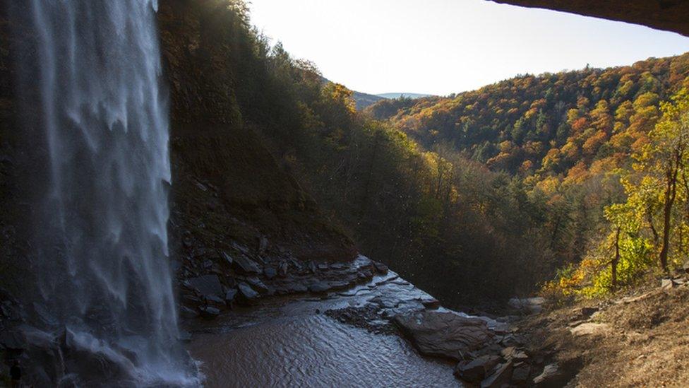 Catskill mountain woodland, USA