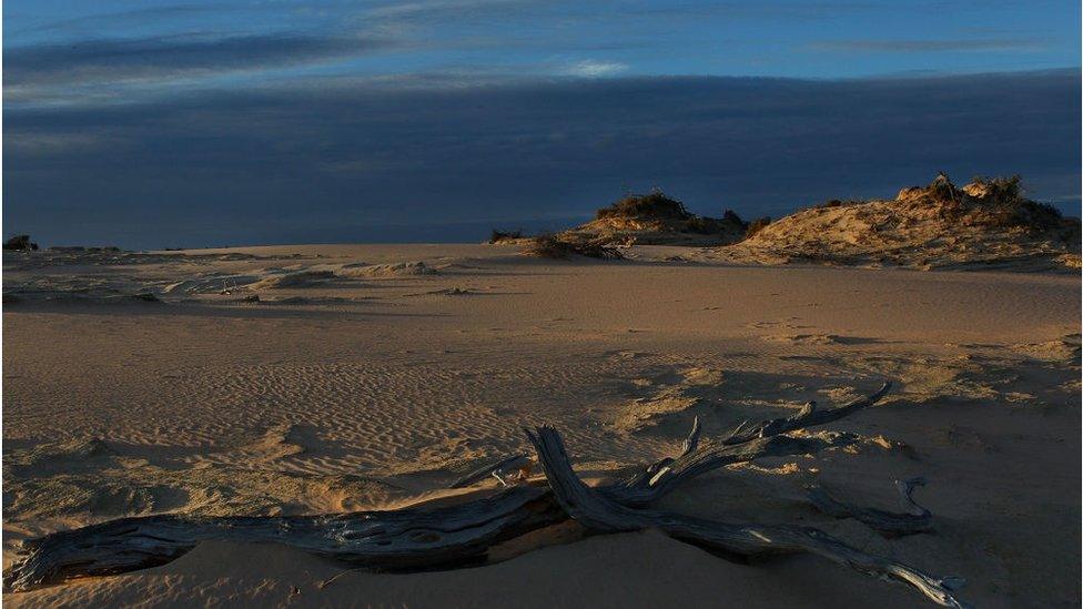 Lake Mungo, in the Willandra region in Australia, is where the 42,000-year-old remains of the indigenous Australians were found.