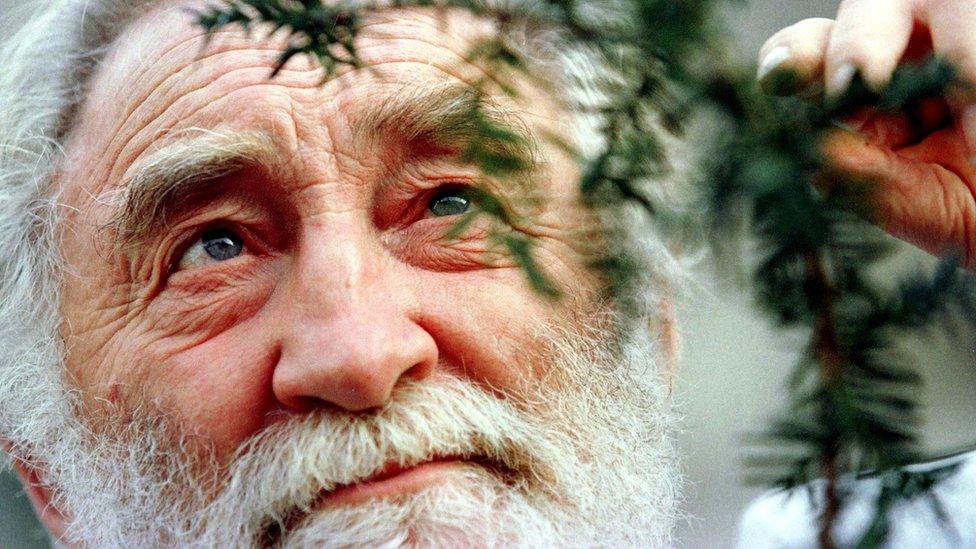 David Bellamy